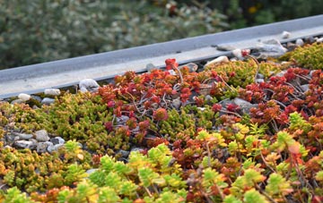 the cost of Morridge Side green roof installation