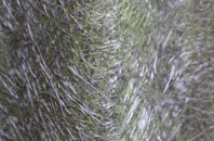 Morridge Side fibreglass roof work